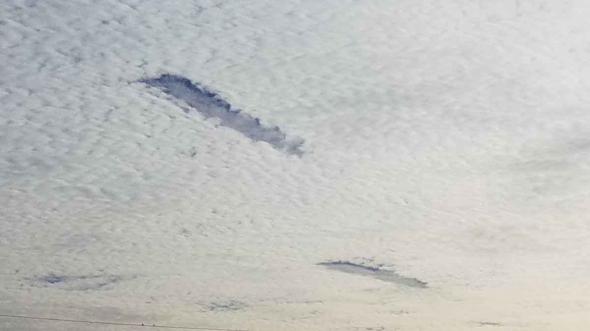 JasonStiff's tweet photo. I saw #beautiful hole punch clouds (#fallstreak holes / #cavum) today. They looked like giant ships floating through a sea of #cirrocumulus #clouds in the #sky...
#California #SantaBarbara #LosAngeles #sun #sunrise #dawn #cirrus #fallstreaks #holepunch #punchhole #cloud #weather https://t.co/wBkB4qnMT3