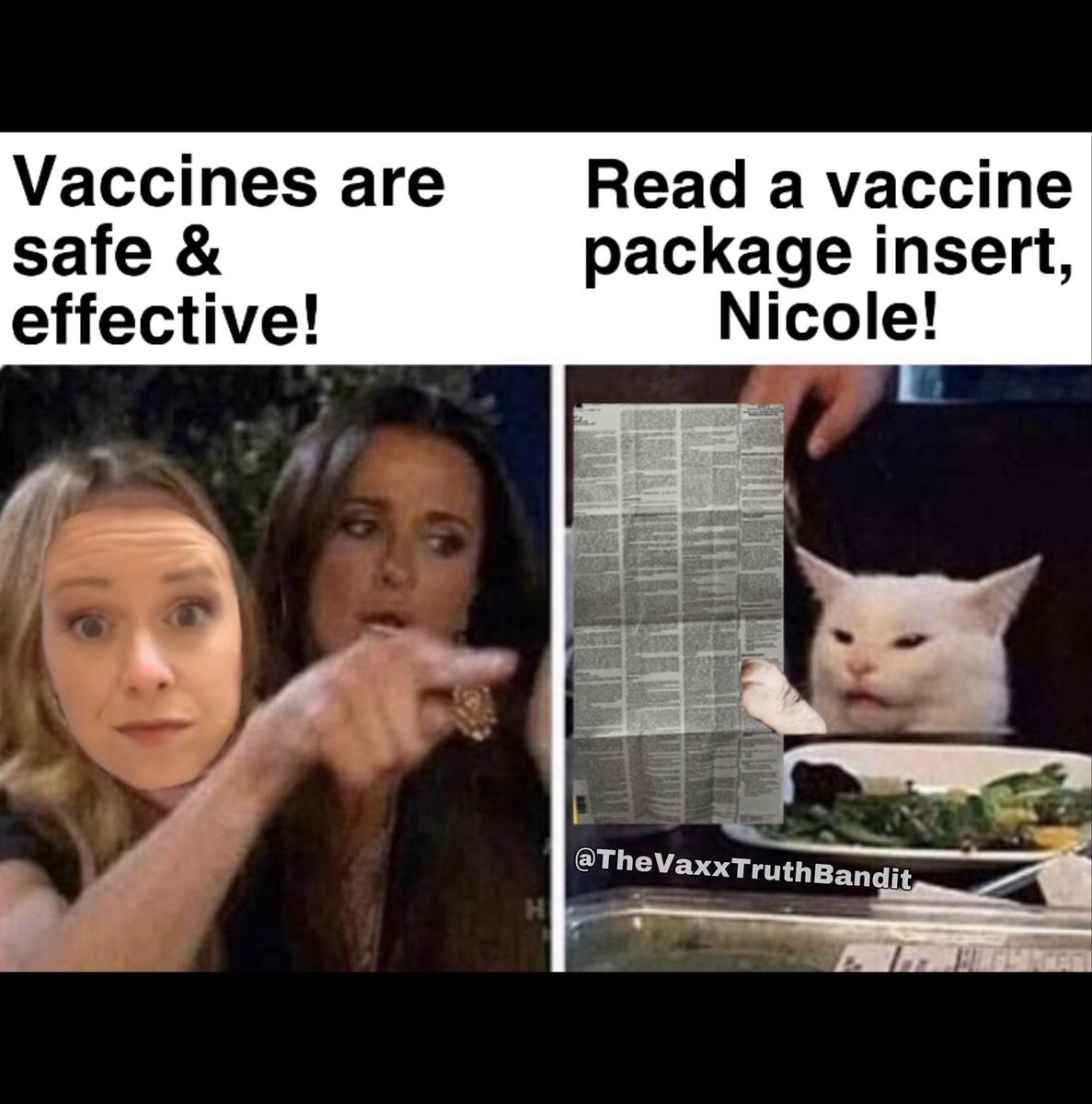 VaxxTruthBandit's tweet photo. #ReadAVaccineInsert ⭐️🌈 https://t.co/aNeVT2Vdyu