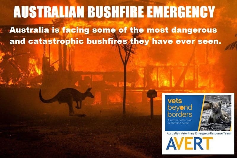 Protect_Wldlife's tweet photo. PLEASE RT:
When you buy a Badge, Brooch, Car Sticker, Tote Bag or Conservation Pack this weekend ALL proceeds go to help #VetsBeyondBorders treat animals affected by the #AustralianFires.
Available at https://t.co/hGdatZwebx
#AustraliaIsOnFire #AustralianBushfiresDisaster https://t.co/x17td7dPLe