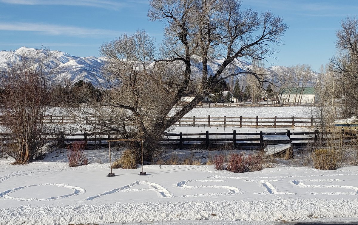 The Oasis Network tweet media