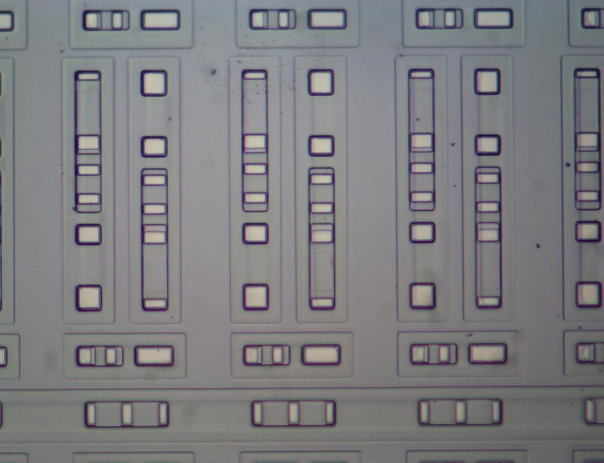 Detail of die photo with metal removed, showing transistors. They are overlapping rectangles. 