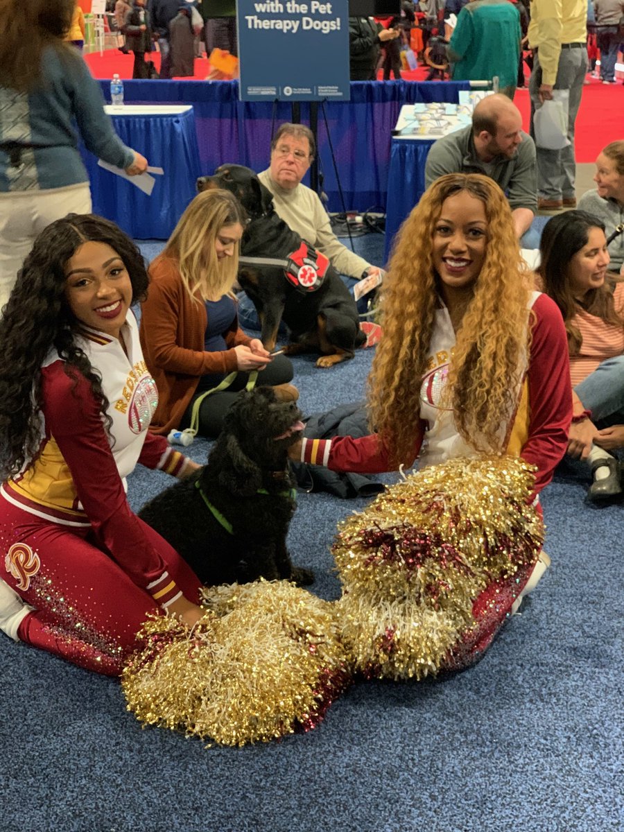 GW_MFA's tweet photo. Cuteness alert! Visit our therapy dogs at the GW Health Village at the @nbcwashington Health + Fitness Expo.  
#NBC4EXPO #Telemundo44EXPO https://t.co/v4cUxmf1J7