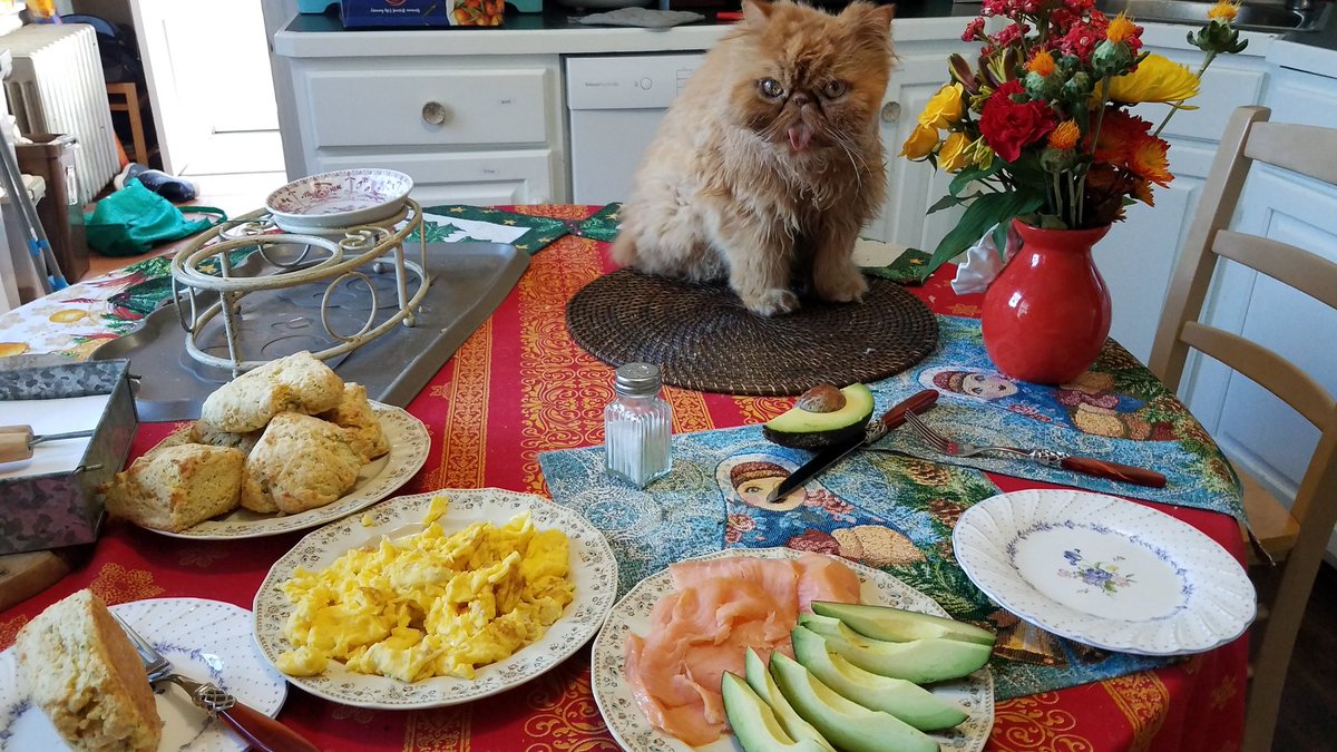 OscarTheFurry's tweet photo. It's Our Daddy's birthday and We made birthday brunch! https://t.co/wveUbsyt6I