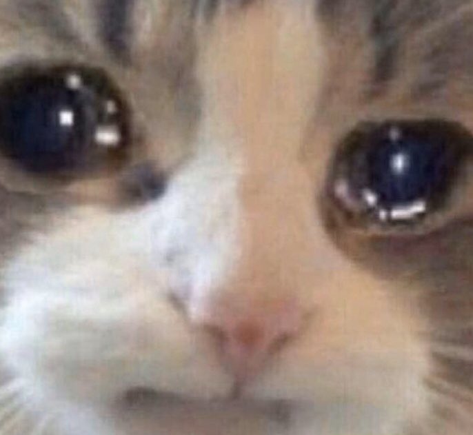 4 pic. when you’re wasted with your friends and someone shares a childhood trauma story so now everybody’s crying in the club https://t.co/NCTIfM4Qea
