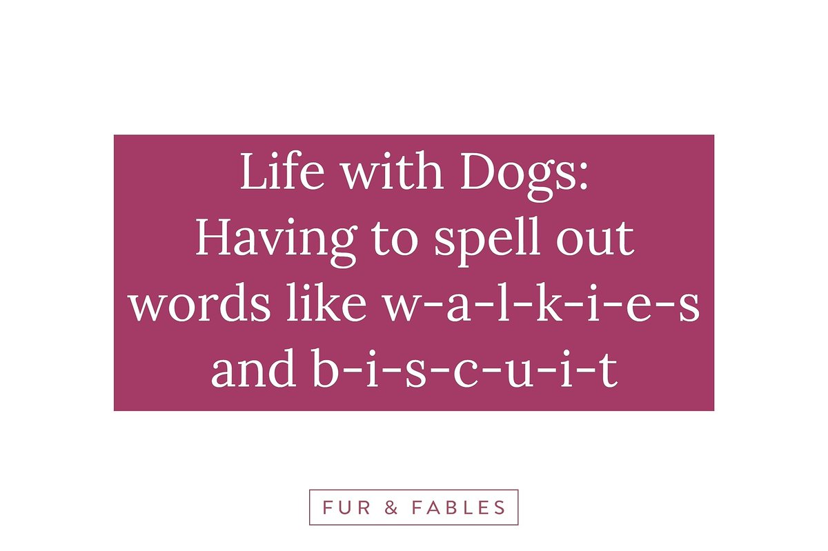 Are there words that you have to spell out?

-------------------------------------------------------------------------------

#lifewithdogs #ilovemydog #dogquotes #mydogmylife #doglifestyle #happydoghappylife #livingwithdogs #doghousehold