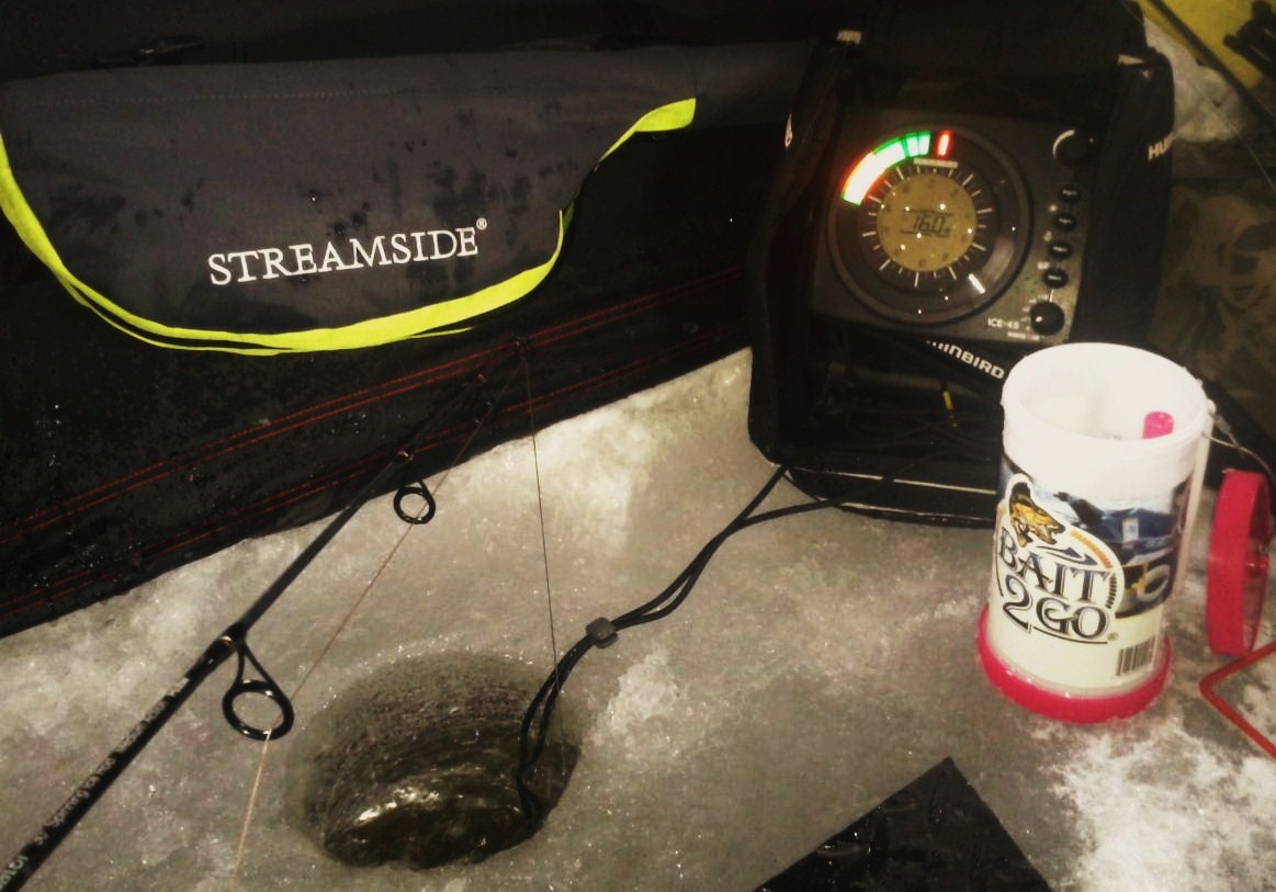 Krista Lewis tweet media