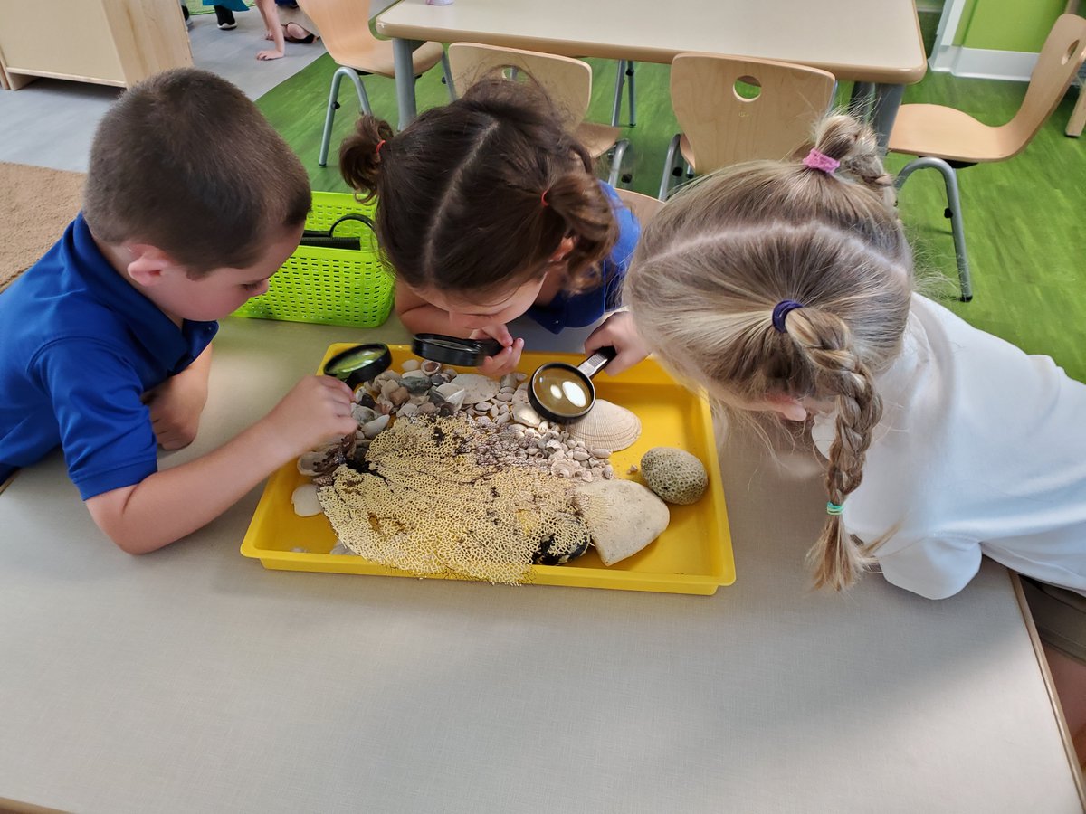 fernandarocco3's tweet photo. Our kids having a close up look at the seashells and coral they collected and brought to our classroom.  🐚 #CISinspire  #cisprek4 https://t.co/w2NUvYATrl