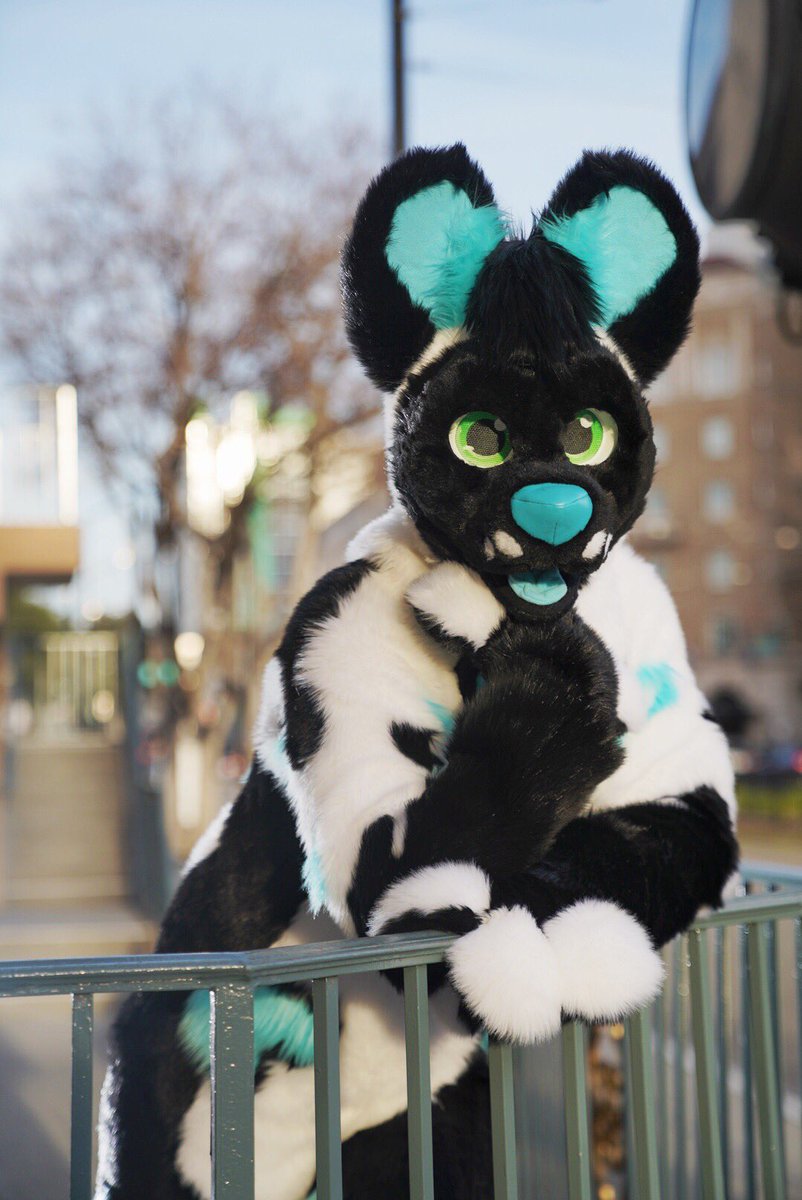 FC has been such a whirlwind of a con. Met a lot of new peeps as well as chilled with the besties. Definitely didn’t regret it as a last minute decision. I’ll see you guys later!😸🧡 (📸&amp;🎥 soon 😏)