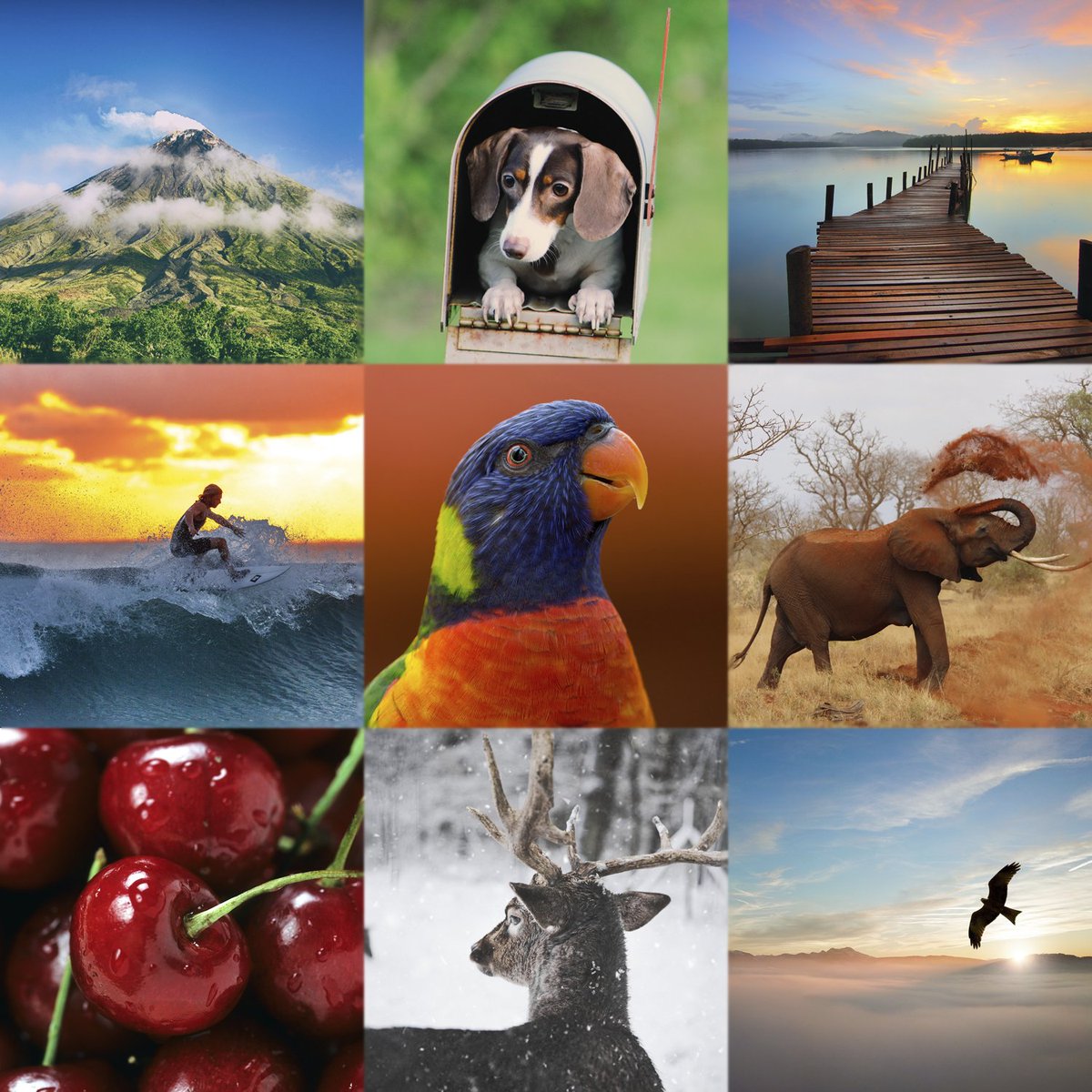 n2dev_code's tweet image. ¡Nueva actualización! Tal y como pedisteis hemos añadido más imágenes de perfil y corregido errores varios. ¡Nos vemos en el ránking!🏆🥈🥉💪

#Apps #developers #development #N2dev #iOS #Android #AdivinaConEmoticonos #GuessWithEmoticons #emoji #boardgame #boardgames #juegosdemesa