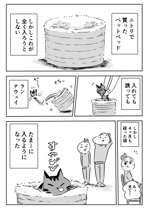 ブログ更新したよ!

「ペッドベッド」(✳︎写真あり)
https://t.co/ZdvDVZujqd 