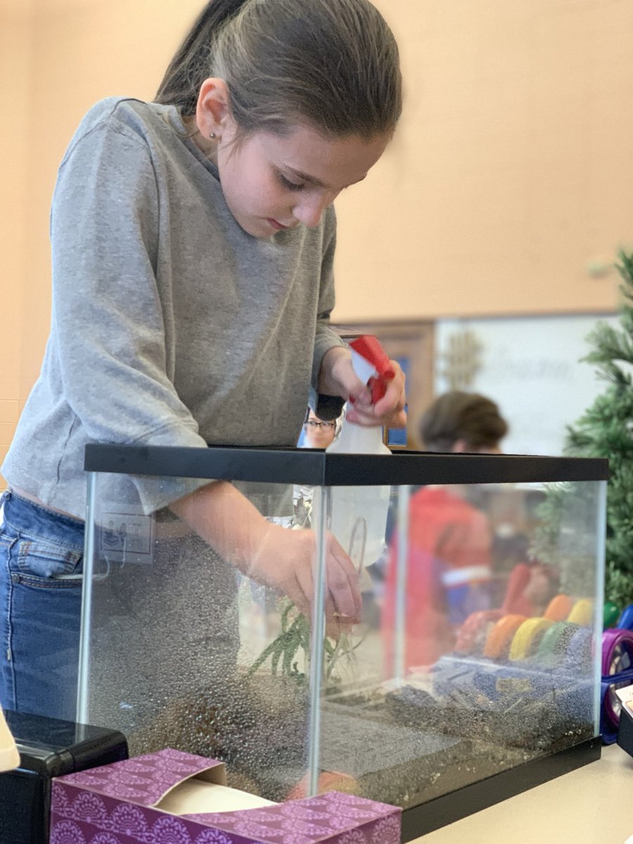kbiege's tweet photo. Inquiring minds want to know mire about the forest floor from #NASCO! Roosevelt Innovation Commons and Student scientists! https://t.co/2LQmT4EpQo
