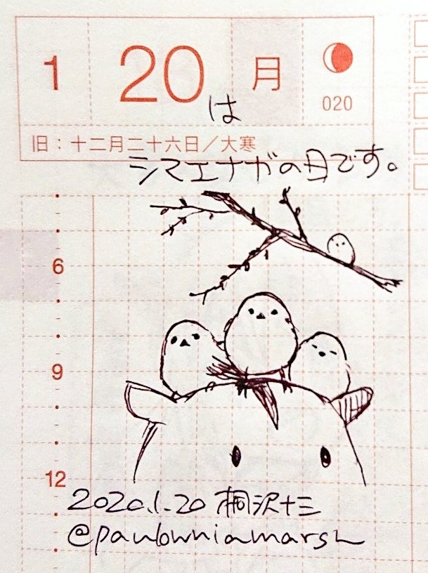 きょうはシマエナガの日です。北海道に生息する雪の妖精、シマエナガを愛でる日です。一度会ってみたい……。 