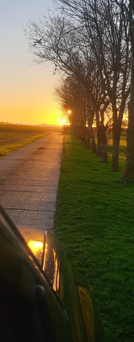 sunkfarmer's tweet photo. Its in the eye and thought hey stop this just might be a nice photo.. its its not too shabby #farmdrive https://t.co/WxJfx30nz3