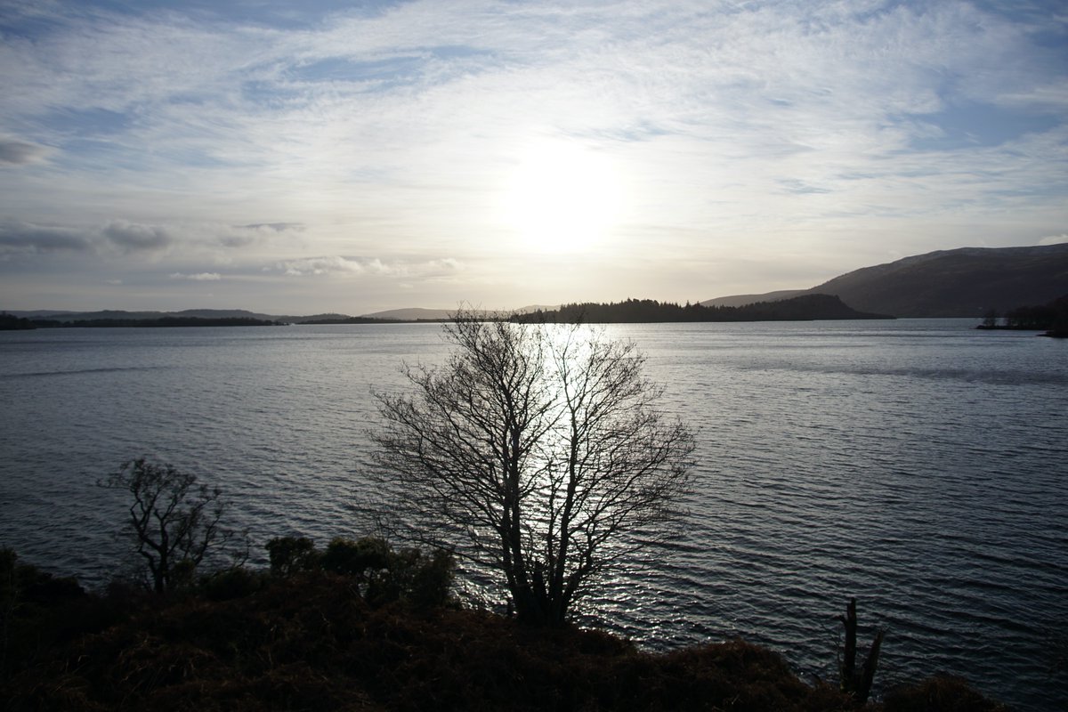 Coulterfell's tweet photo. Paddling Loch Lomond https://t.co/SuGFEIV5No