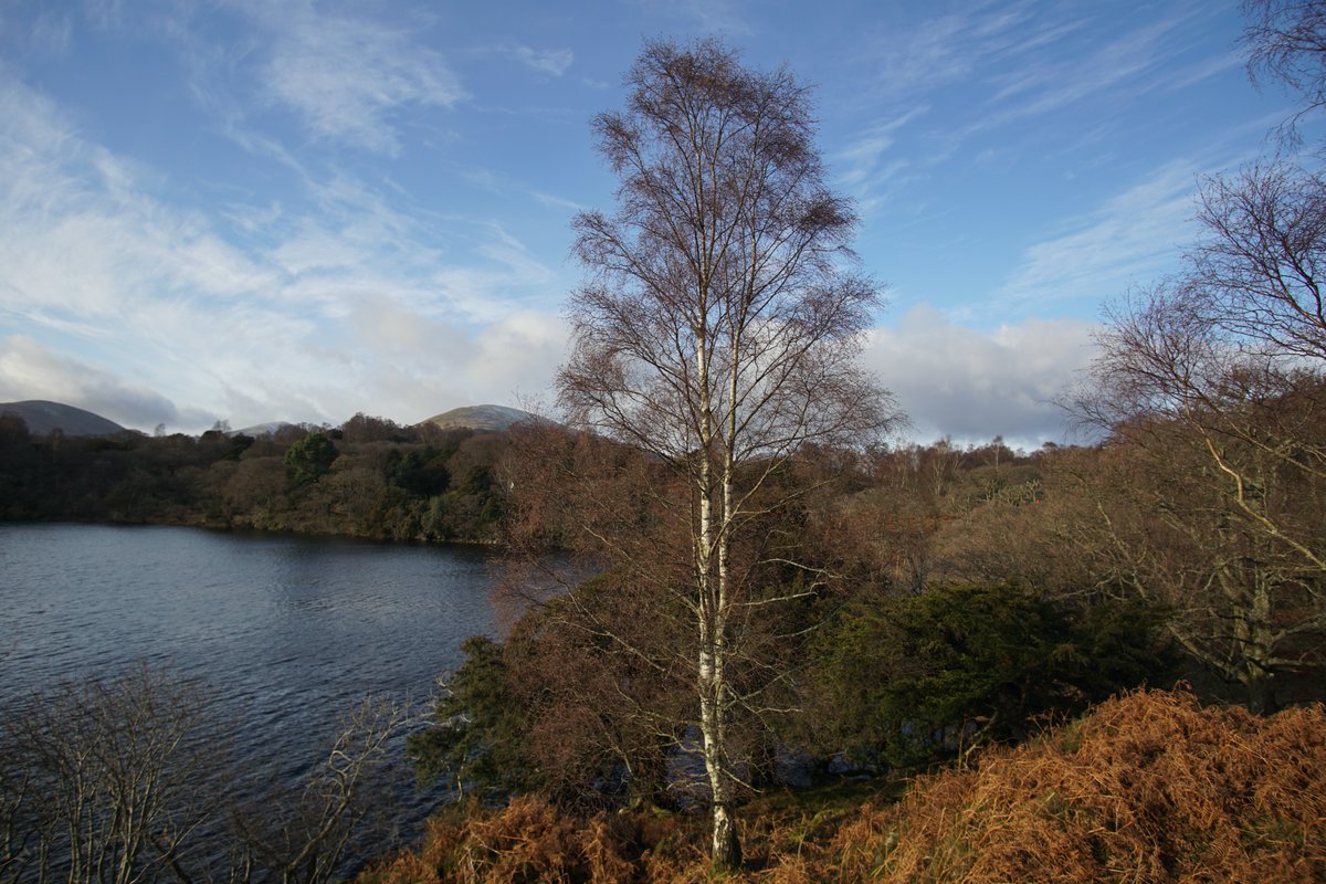 Coulterfell's tweet photo. Paddling Loch Lomond https://t.co/SuGFEIV5No