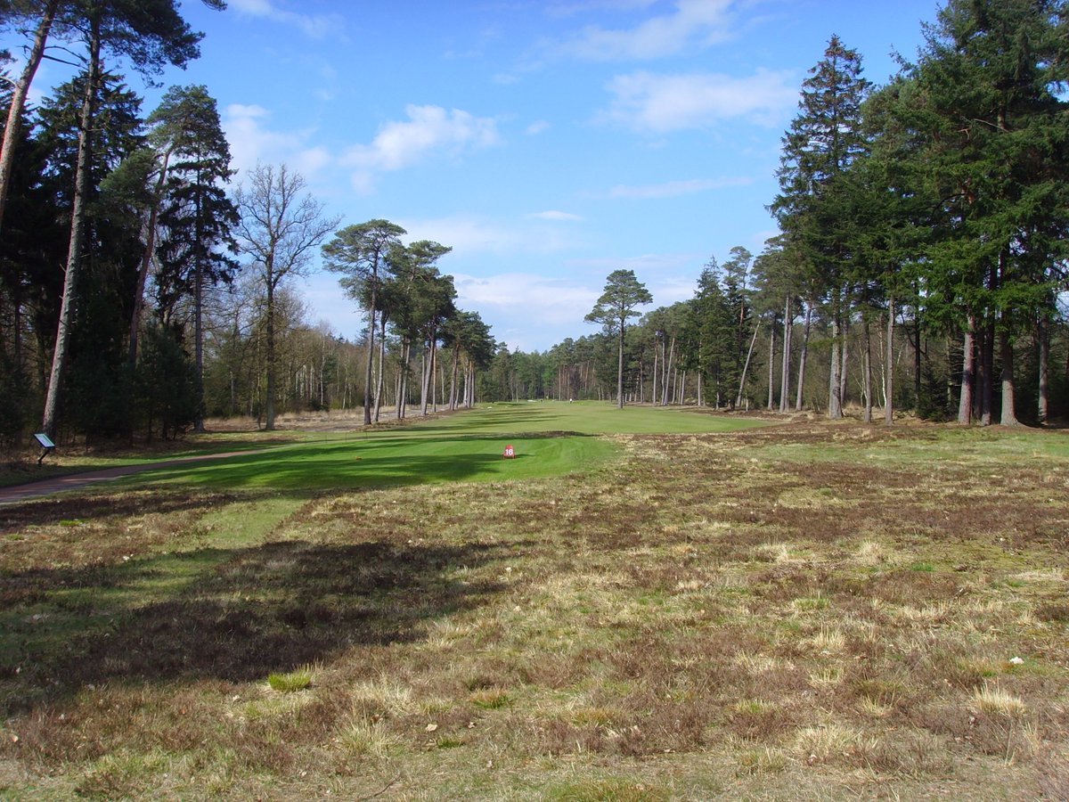 Waarom is <a href="/gclauswolt/">Golfclub Lauswolt</a> in de Top 50 gestegen van plaats 30 naar 25? ▶️ top50golf.nl/top-50-18-hole… #FrankPennink #DonaldSteel <a href="/golfarchitects/">Mackenzie & Ebert</a> Mackenzie &amp; Ebert