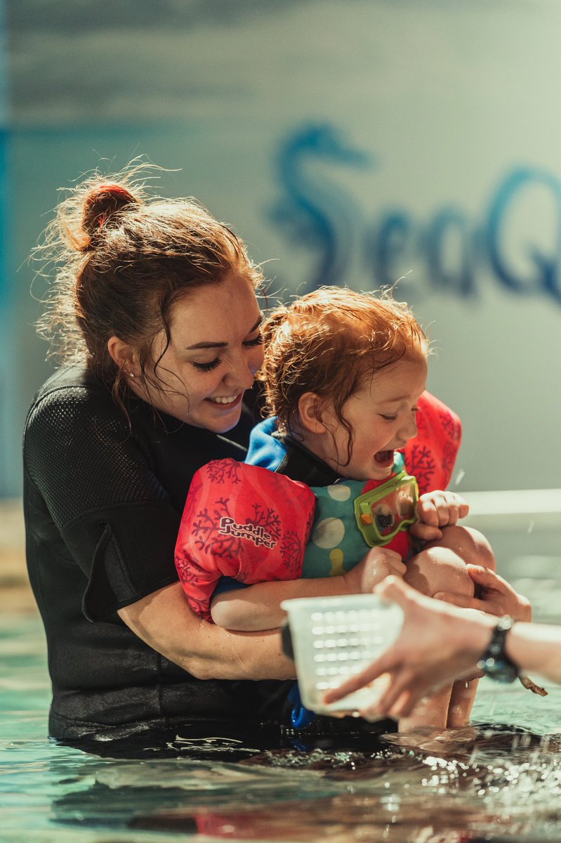 took the fam to swim with stingrays and baby sharks and creepy fish..

🐡 youtu.be/W89BFUemHhk