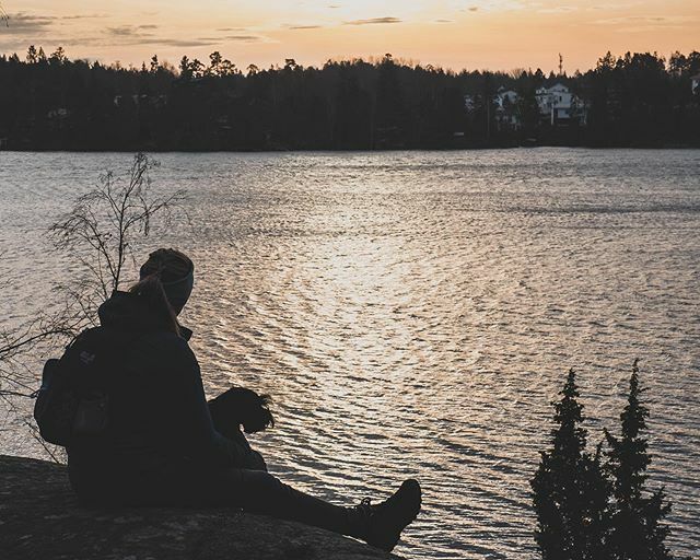 waxident's tweet photo. 🖤 these two, Flatens Nature Reserve
.
.
#stockholm #sweden #FujifilmNordic #fujifilmeu #myfujilove #fujixlovers #xh1 #1655mm #Fujifilmglobal #repostmyfujifilm #nature #trees https://t.co/8HAEwVuzgI https://t.co/G2DeGyoVNy