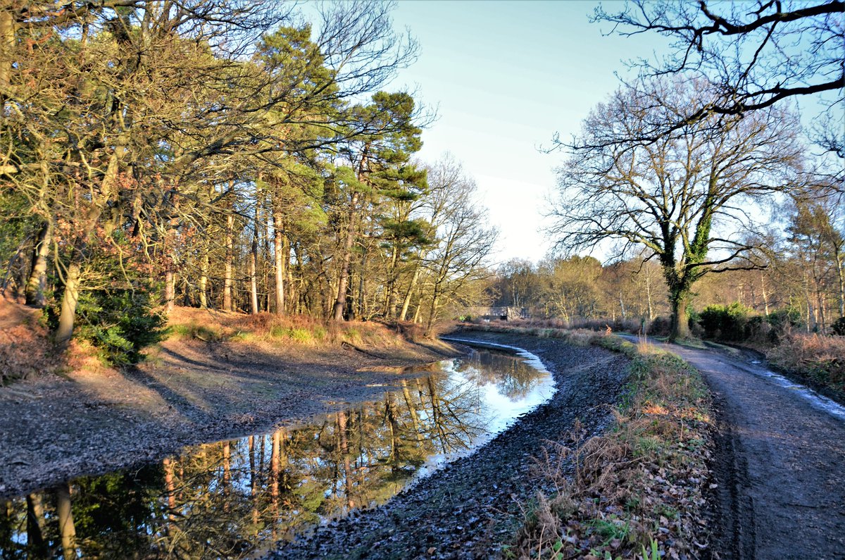 TheRealStavioni's tweet photo. A partially drained #BasingstokeCanal at #Lock25 #CurzonBridge while structural assessments and work is carried out. Looks just as amazing minus the water.... @TheBCATeam @BasingstokeCS #Deepcut #Canal https://t.co/QGsVYfoY0e