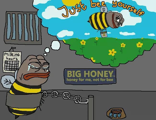beememebeememe's tweet photo. Bee_irl https://t.co/fKIYWRUaPw