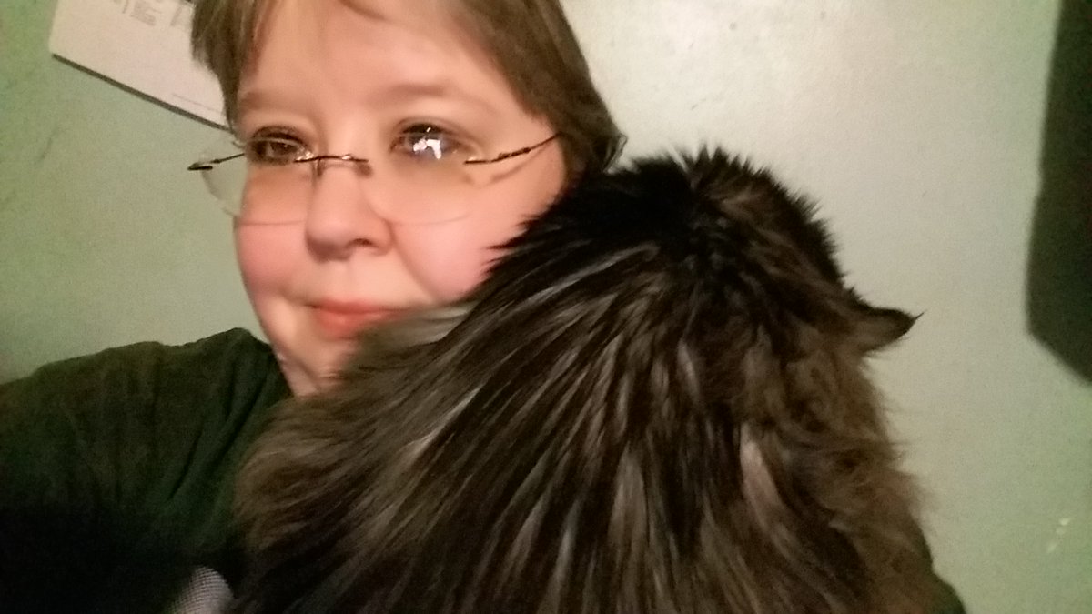 VJAllison1974's tweet photo. I'm going to have to learn how to write when I have a cat snuggled up on my shoulder. Marnie has been clingy lately. Thank heavens for cordless keyboards and mice! #PrincessFluffyButt #mainecoon #authorslife #amwriting https://t.co/tNH6JptuAx