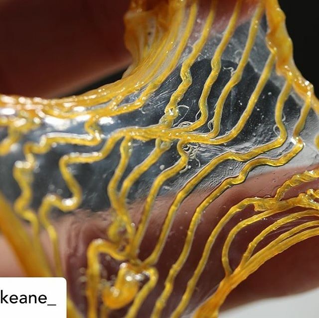 3dheals's tweet photo. Posted @withregram • @_jenkeane_ The future is a bit gooey, and I’m cool with that. Playing a bit with microbial weaving + @boltthreads #spidersilk . Bacterial connection.... #thisisgrown #nextgeneration #boltthreadscreativeresidency #creativeresiden… https://t.co/blsOLhRudG https://t.co/Fe8lsxF2fL