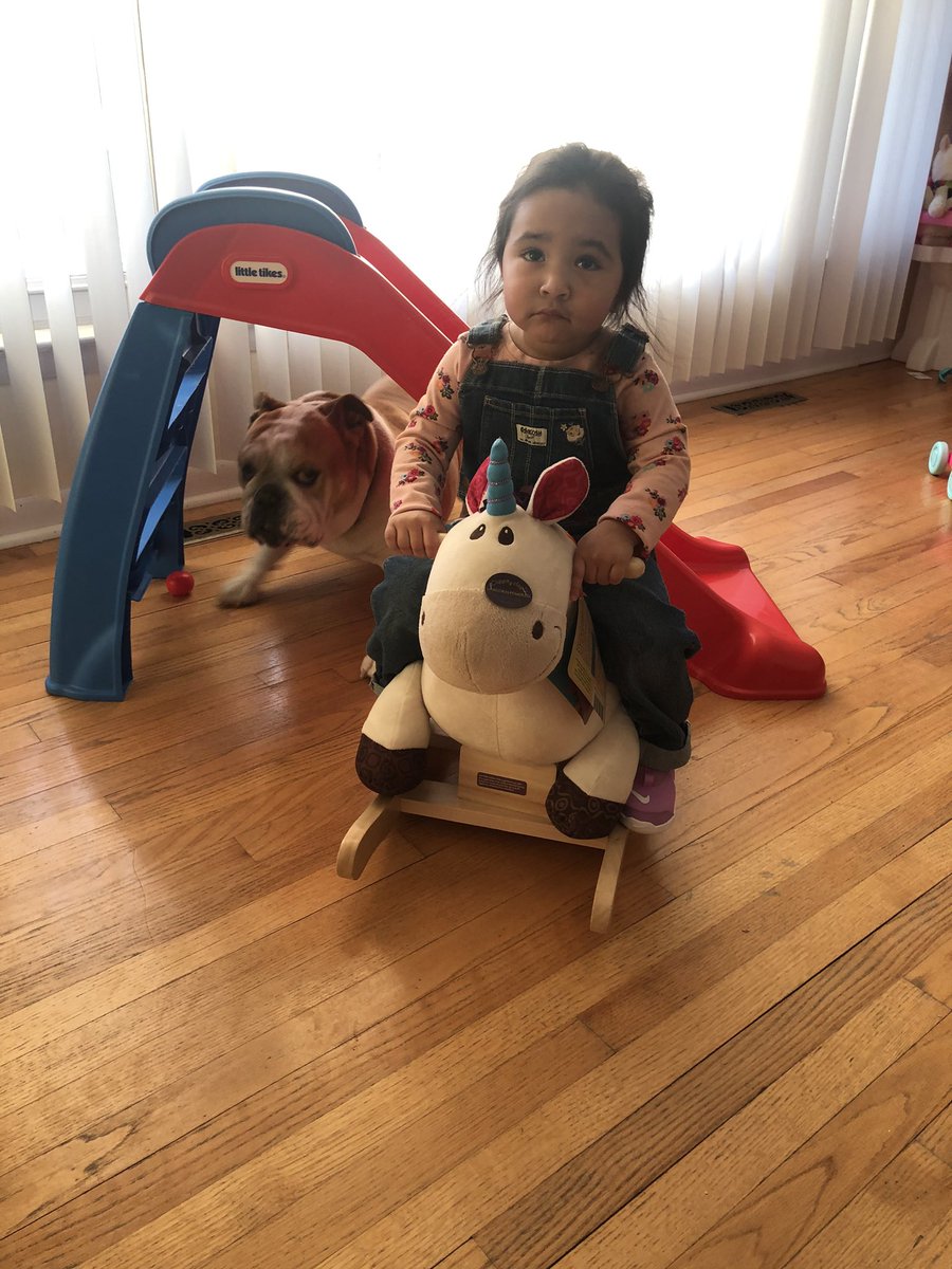 MightyThor617's tweet photo. What you mean we’re moving ALL the toys to her big girl room?! Where am I suppose to camp out now?! #BulldogThor #BigBrotherThor #LittleSisterMonika #BullySitter https://t.co/eLPaWhOKEV