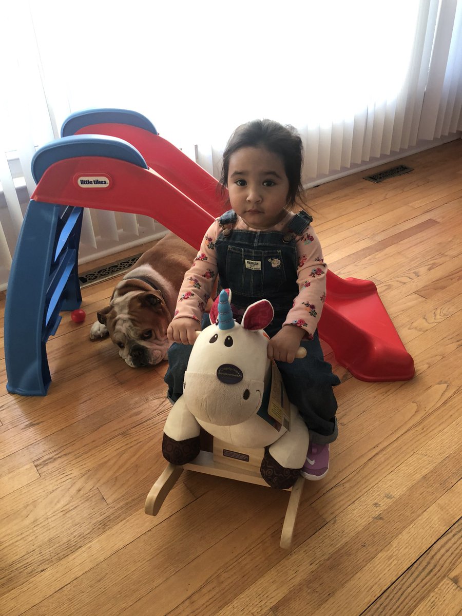 MightyThor617's tweet photo. What you mean we’re moving ALL the toys to her big girl room?! Where am I suppose to camp out now?! #BulldogThor #BigBrotherThor #LittleSisterMonika #BullySitter https://t.co/eLPaWhOKEV