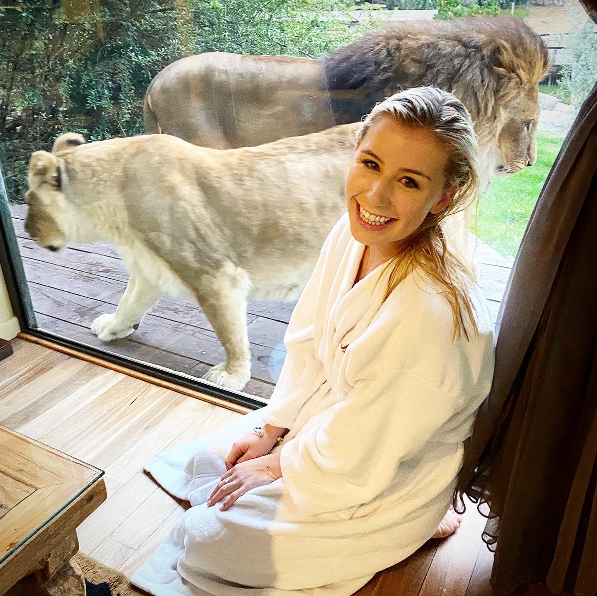 char_riddle1's tweet photo. Waking up to these guys roaring at the window! 😍🦁 @jamalalodge #jamalawildlifelodge #canberra #canberrazoo https://t.co/18tqsymL7A