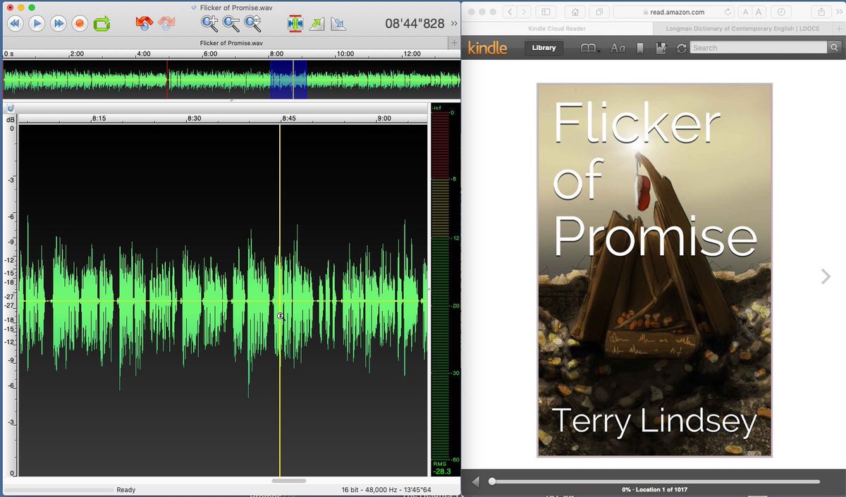 Enjoying this current project, the follow up to Sticks and Stones, which I narrated last year. Also a dystopian novel and rich with allegory, Flicker of Promise shows how faith, love, and courage will help humanity find its way forward during the darkest of times.