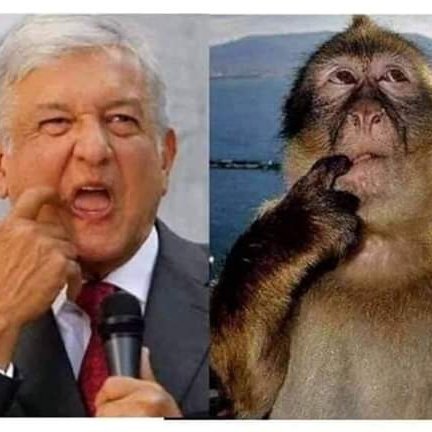 Tony_VazquezR's tweet photo. Oye chavo te das cuenta de que inconscientemente estás aceptando el nivel tan bajo que trae tu presidentito lopez alias el #CobardePederasta #lopezPedofilo #lopezPederasta #CobardePedofilo @lopezobrador_? #Aplicate #RedAMLO #RedTB #RedAMLOVE https://t.co/rHSpRlBaaQ