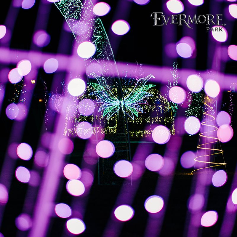 EvermorePark's tweet photo. What is your most #magical memory in #Evermore?

#EvermorePark #Aurora #OnlyinEvermore #2020 #january #winter #family #kids #momlife #magic #play #adventure #themepark https://t.co/MtOux0eTT5