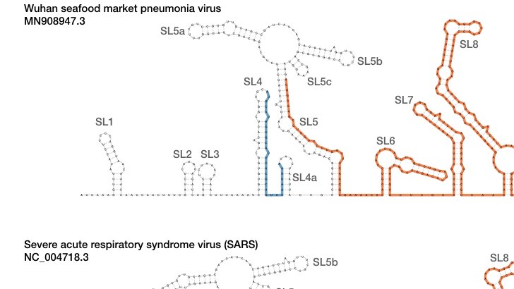 Michael T Wolfinger tweet media