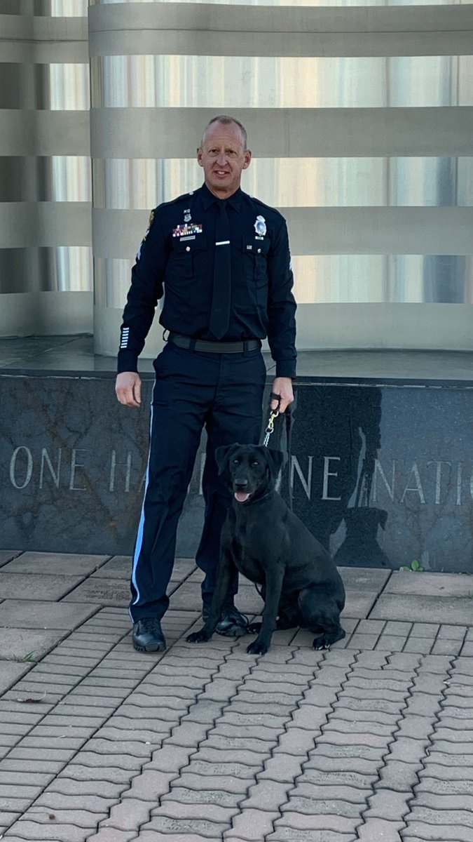 I would like to introduce my new work partner, Dominic.
We are home after spending the last 3 months in San Antonio, TX at the DHS/TSA Canine Training Center in Lackland AFB. 
A special thank you to Gretta, Connor and Nate for all their support while I was gone.
