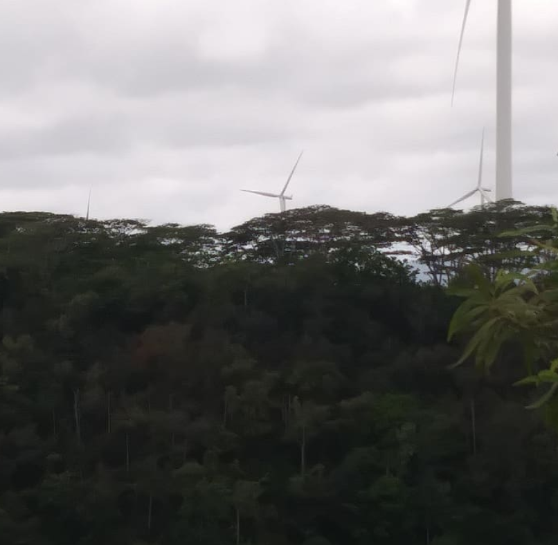 aliho710's tweet photo. #Memories from volunteering with a group at @WaimeaValley in a reforestation project on the top of the mountain!!! 🕊️💛👏
#Reforestation #TeamWork #OxygenBuilding #SolidFoundation #StrengtheningtheSoil #ViewofWindTurbineRenewableEnergyUtility #Incredible #BlessedExperience #Aloha https://t.co/OuHMzIijrw