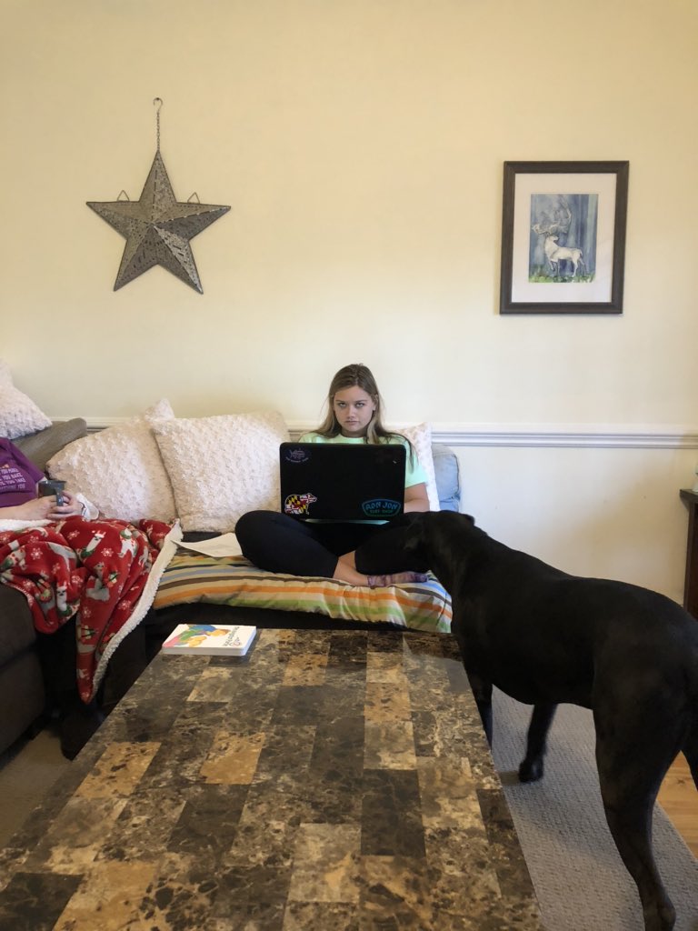 k9kayaks's tweet photo. #CousinMorgan #GodDaughter @M_clementson doing homework 💻 will be getting her #TeachingDegree 🍎 May 2020 from #LimestoneCollege #determined #goals #HeartOfGold https://t.co/pTejZIYqHv