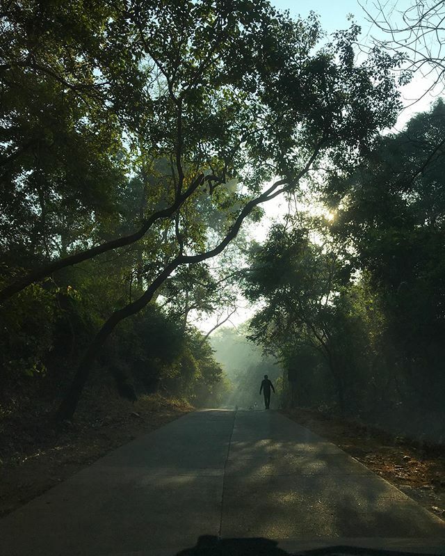 angeli_de's tweet photo. A walk in the park
#sunday #earlymorning #wintermorning #ig_mumbai #instadaily #silhouette #rayoflight #thruthetrees #explore #travel #india #ig_india #instamumbai #bombay #trees #raw_mobile #raw_community #mobilephotography #travelphotography https://t.co/XQW8fLsMBR https://t.co/QPeiDsIiQm