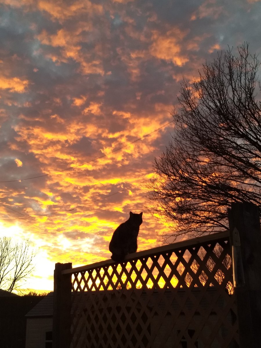 LoveGLewis's tweet photo. @wfaaweather Sunday evening in McKinney. https://t.co/c3IoCSJBDQ