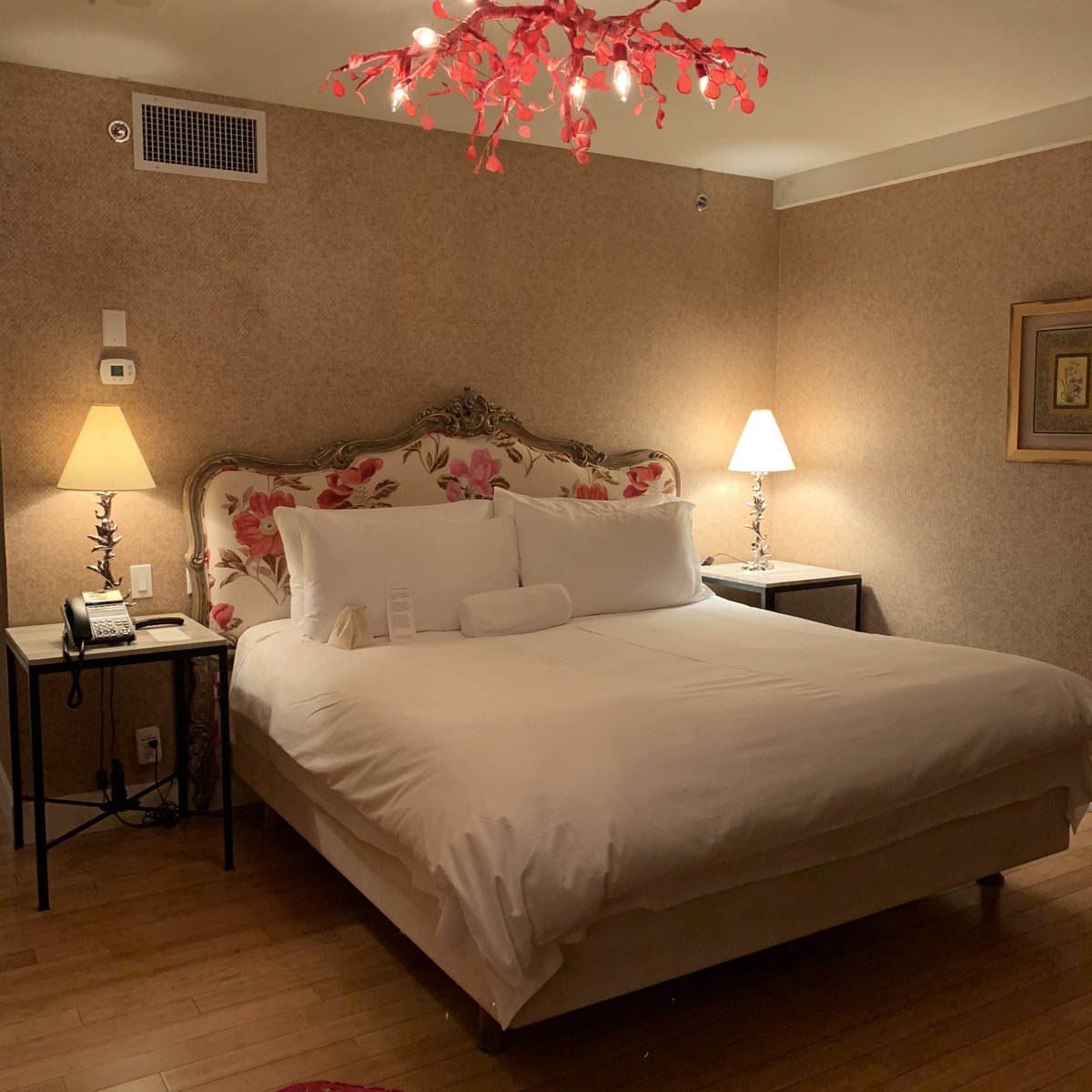 tomodevon's tweet image. THE   IVY at verity🇨🇦