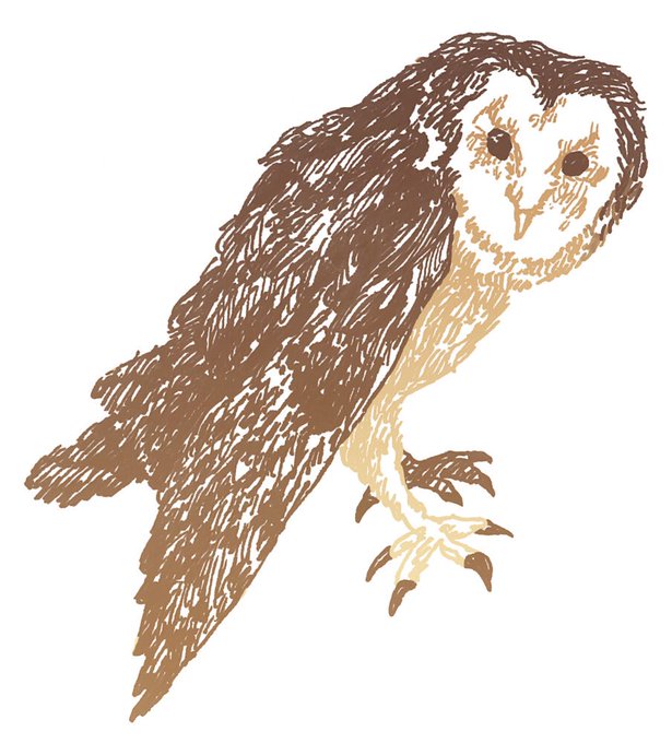 メンフクロウのtwitterイラスト検索結果 古い順 メンフクロウのtwitterイラスト検索結果 古い順