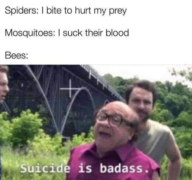 beememebeememe's tweet photo. Bee_irl https://t.co/qPwXjbcM3D
