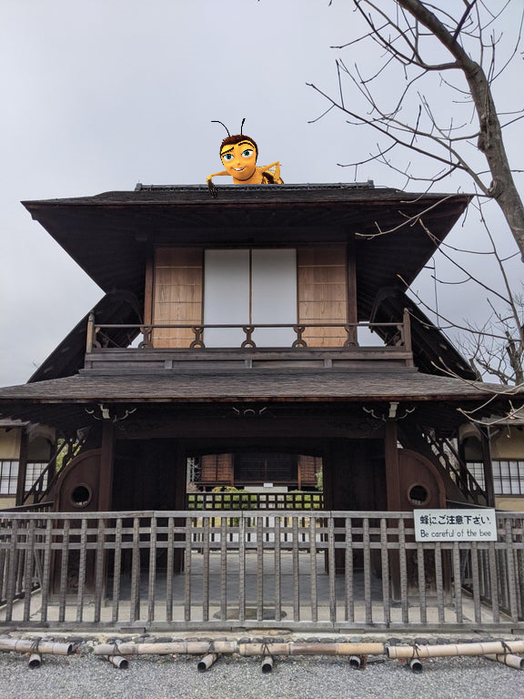 beememebeememe's tweet photo. bee irl https://t.co/5V4aSTXE4p