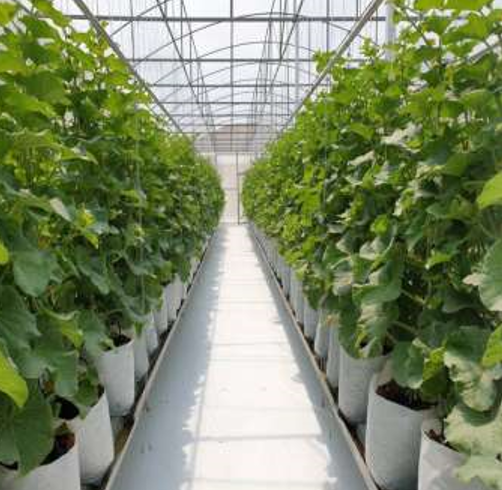MainbridgeTrade's tweet photo. Jamaica Site Visit - Smart Infrastructure in Agriculture

A development company engaged Mainbridge to create a proposal to help develop Jamaica's farming community through smart agricultural facility and supplies.

https://t.co/G99rSJHbVm https://t.co/7RnPN0uAOh