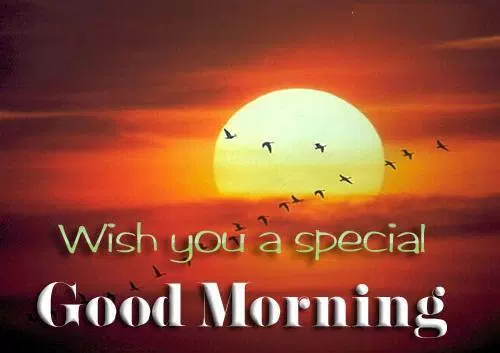 CuTeNisha9's tweet photo. @Shyam252511 @Vic_k_ey @Vipin2217 @e_Parth_ @IM__JAANU @Priyank98317971 #Chanllenges makes you more responsible.
Life without struggle is
Life without Success.
Don't give up and learn not to #Quit.
Good Morning @Shyam252511
You have a successful day. https://t.co/HwS1ne0KiC