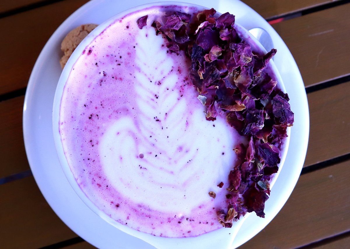 CaffeArtigiano's tweet photo. Artigiano has a new tea latte coming soon.

Officially launching later this, our tea lattes are artful, creamy and smooth.

Stay tuned for our launch date!

#Tea #Latte #Rose #YVR #YYC #Cafe #CafeTalk #Barista #Instafood #BaristaLife #Artigiano https://t.co/Fa3t8uLsc8