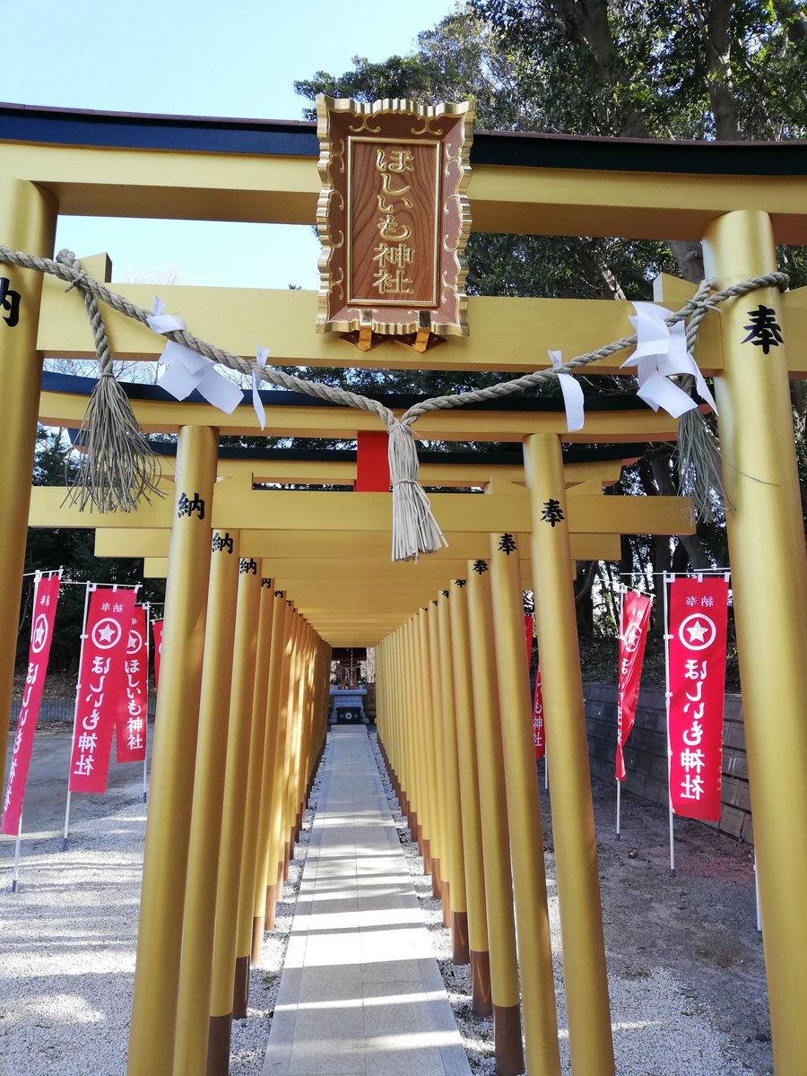 もも Twitterren 堀出神社 茨城県ひたちなか市 ほしいも神社 土を掘ったらお宝が出てきたので堀出神社 干し芋にするサツマイモも土の中から掘るのでほしいも神社 同じ境内に令和になって建てられた神社です 欲しい物にかけています 御朱印は印刷の書置でシール もも Twitterren 堀出神社 茨城県ひたちなか市 ほしいも神社 土を掘ったらお宝が出てきたので堀出神社 干し芋にするサツマイモも土の中から掘るのでほしいも神社 同じ境内に令和になって建てられた神社です 欲しい物にかけています 御朱印は印刷の書置でシール