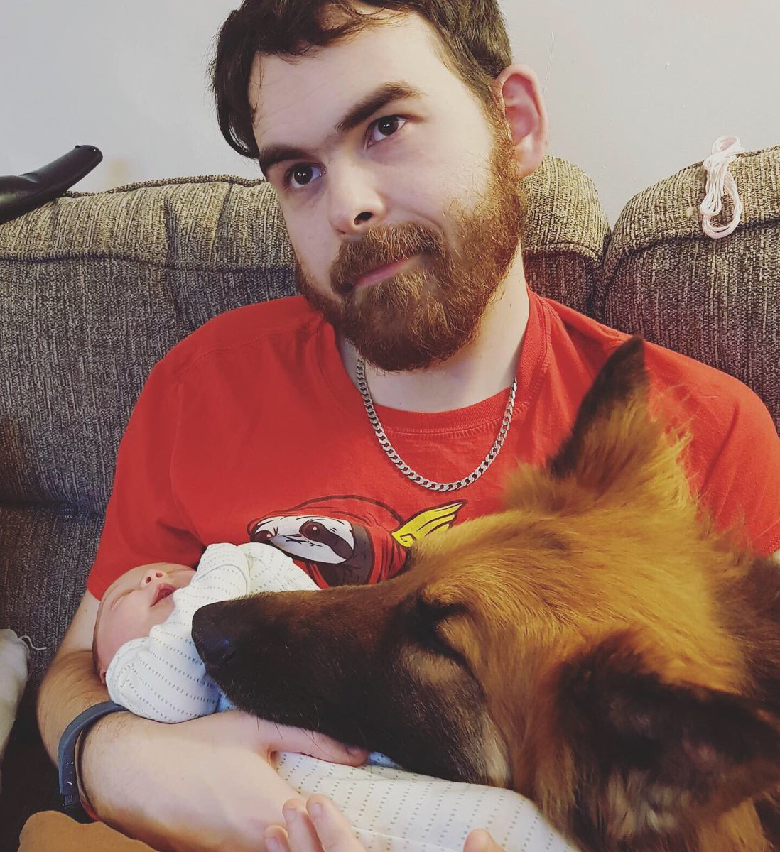 GS-Dodger tweet media