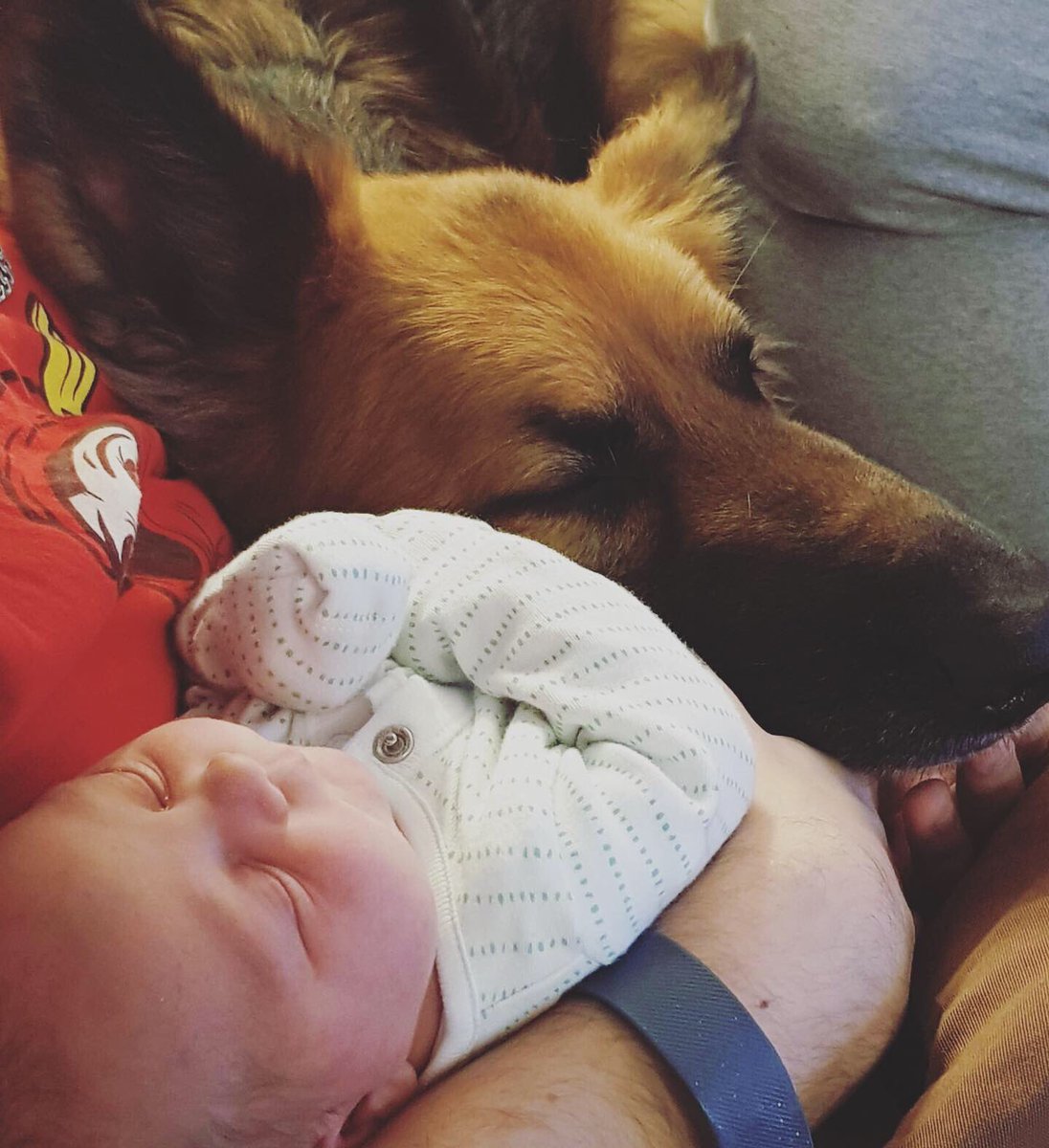 GS-Dodger tweet media