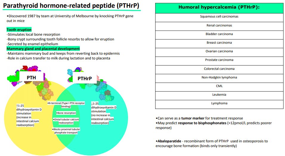 SweetTea_MD's tweet photo. For anyone interested in learning more about #PTHrP, a #hormone involved in paraneoplastic syndromes. Here's a succinct summary I made for a rotation: https://t.co/dozN9XfLto