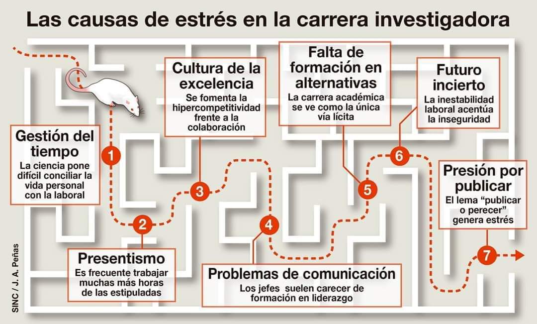 wdannaw's tweet photo. Esas y muchas otras 😅 https://t.co/YqhNkJWBxj